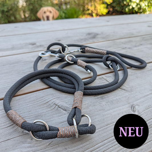 SET aus Leine und Halsband schwarz - braun/silber