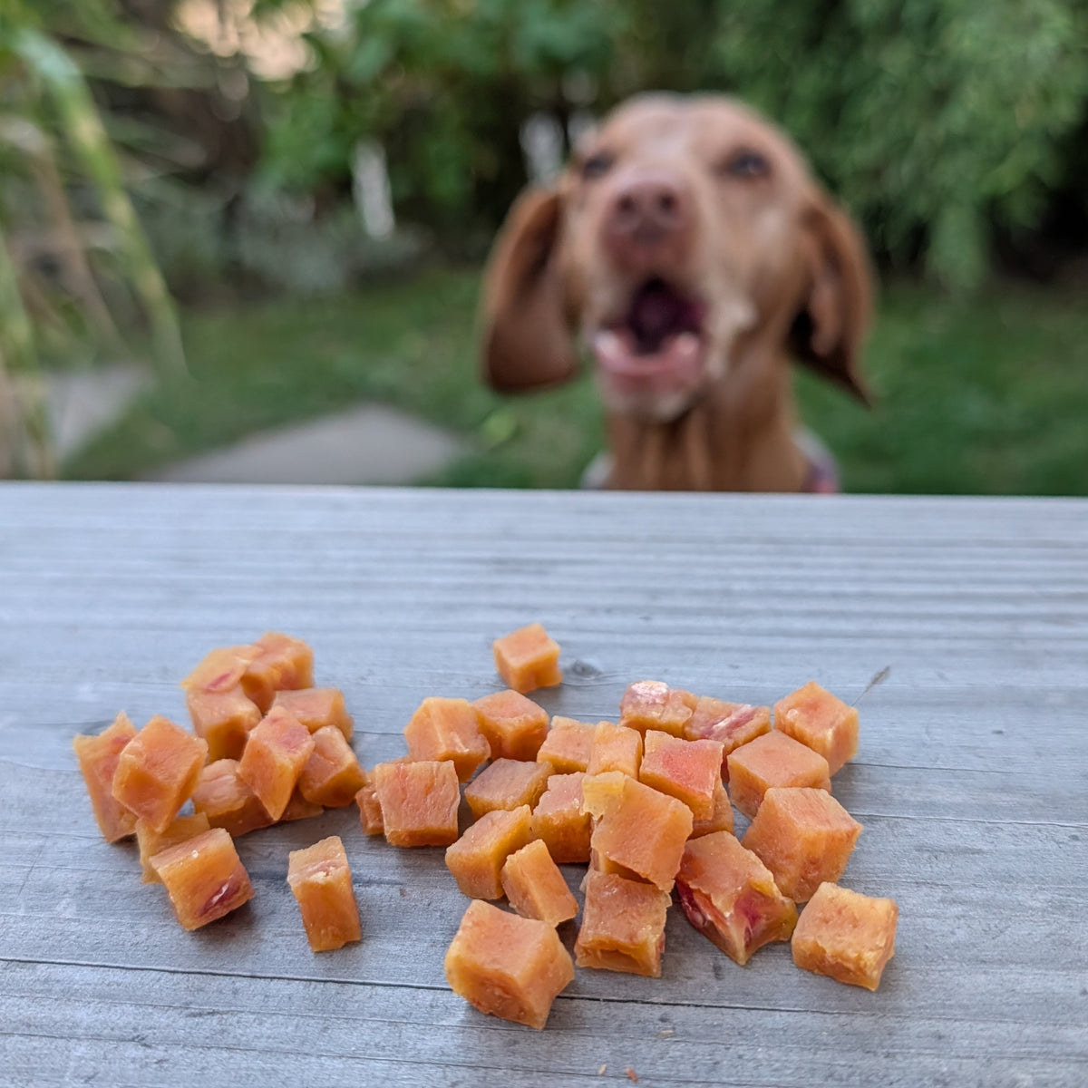 SNACKIES Hühnerbrustwürfel