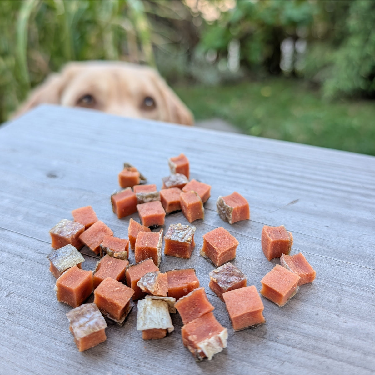 SNACKIES Lachswürfel