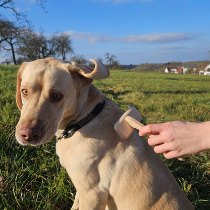 Unterfellbürste für Hunde und Katzen