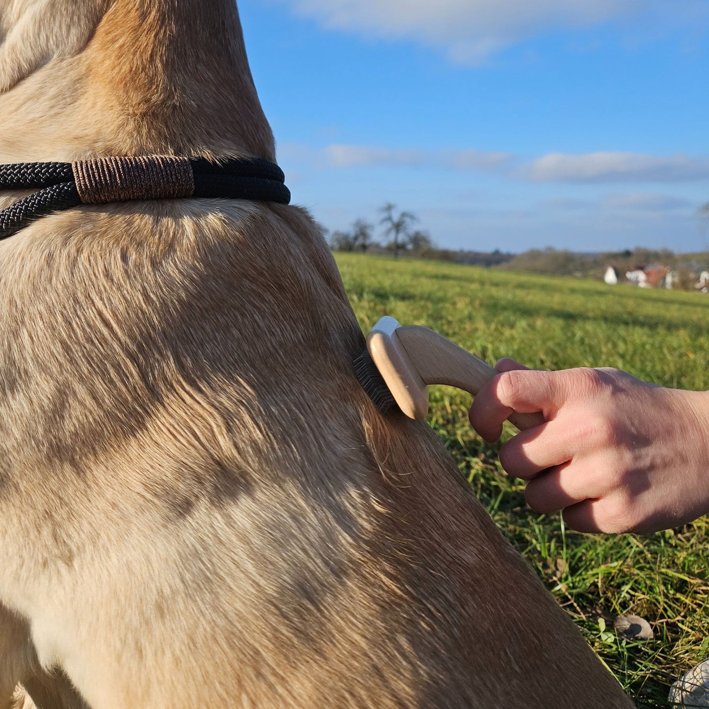 Unterfellbürste für Hunde und Katzen
