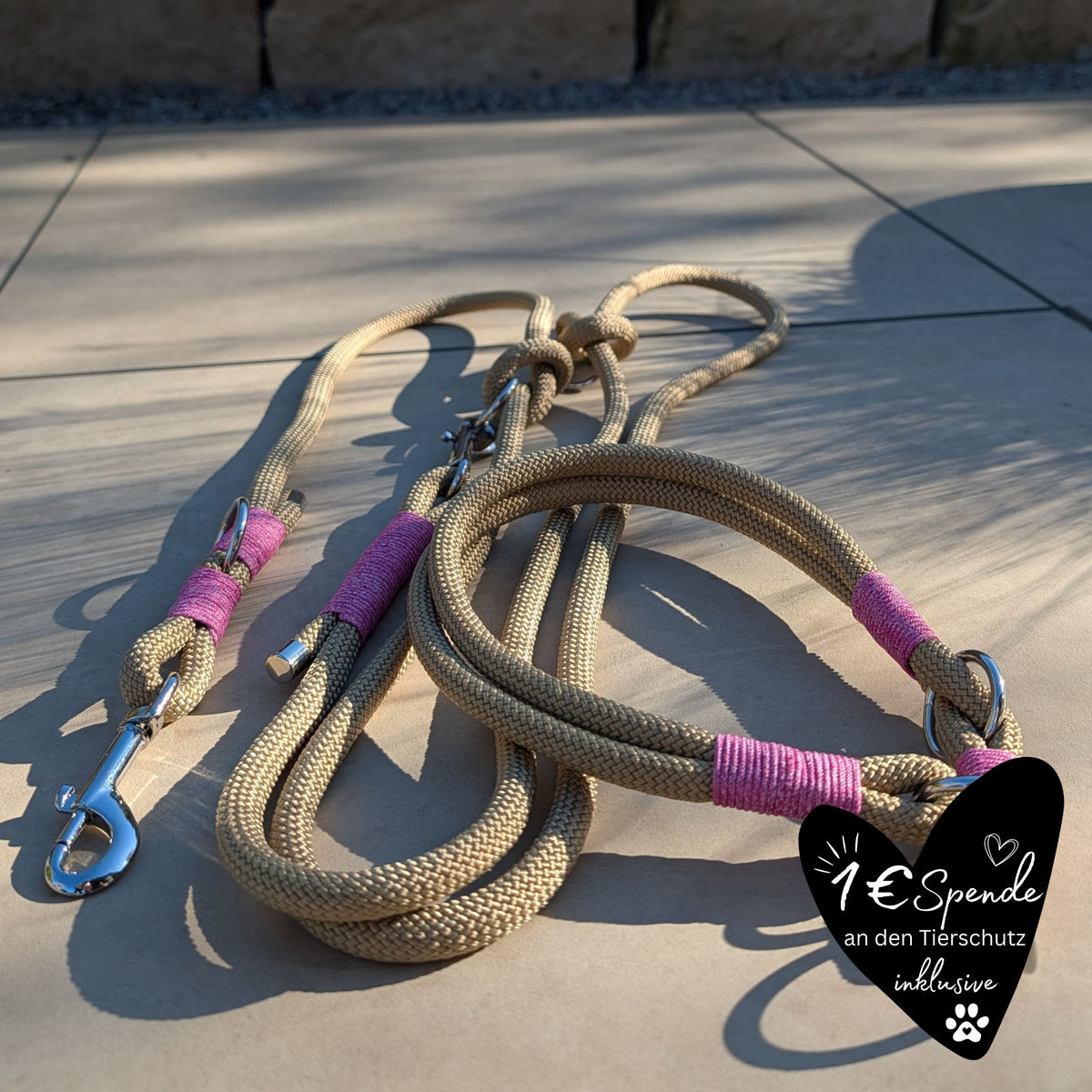 SET aus Leine und Halsband goldbraun - rosa