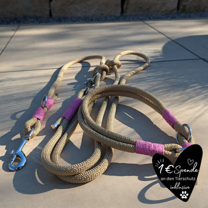 SET aus Leine und Halsband goldbraun - rosa