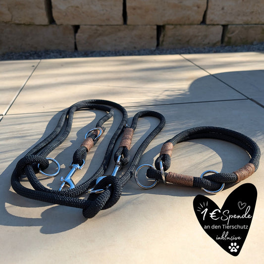 SET aus Leine und Halsband schwarz - braun