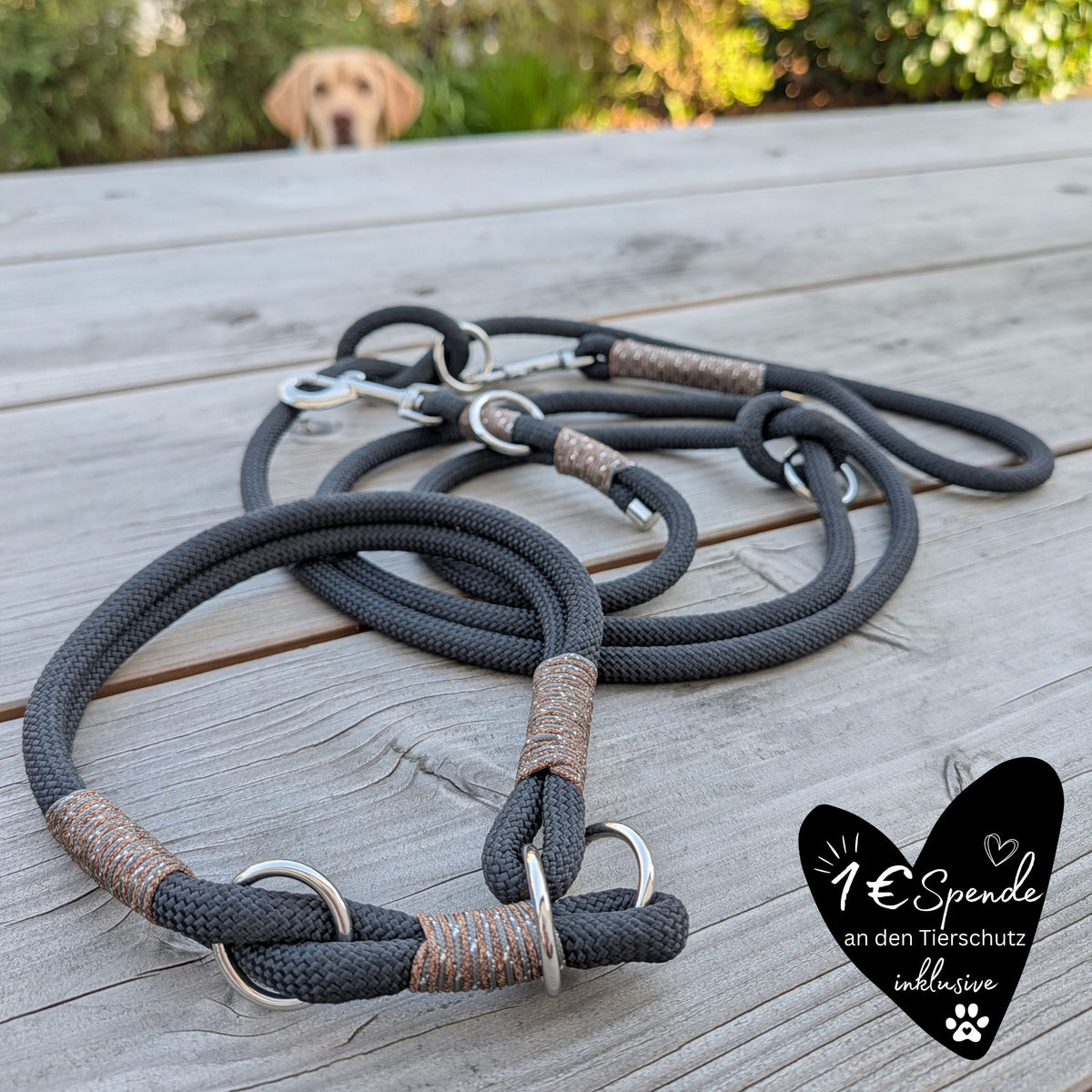 SET aus Leine und Halsband schwarz - braun/silber