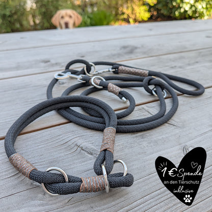 SET aus Leine und Halsband schwarz - braun/silber