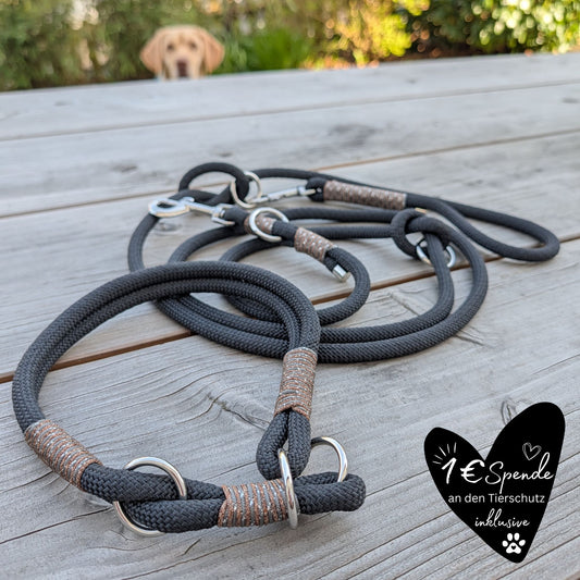 SET aus Leine und Halsband schwarz - braun/silber