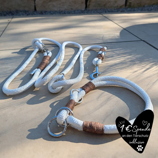SET aus Leine und Halsband weiß - braun