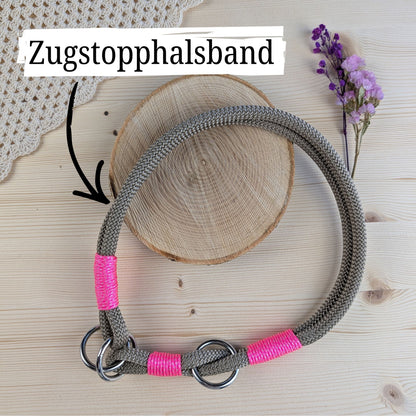 SET aus Leine und Halsband beige - neonpink