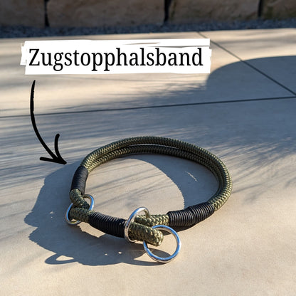 SET aus Leine und Halsband olivgrün - schwarz