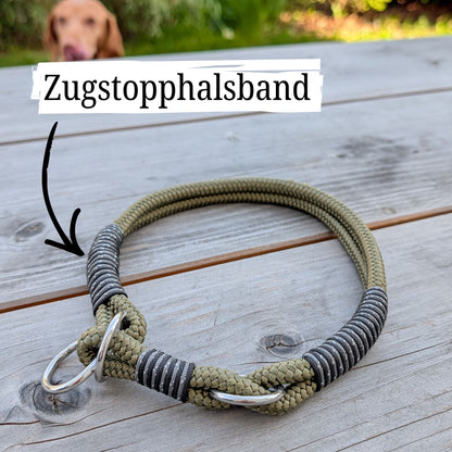SET aus Leine und Halsband olivgrün - schwarz/silber