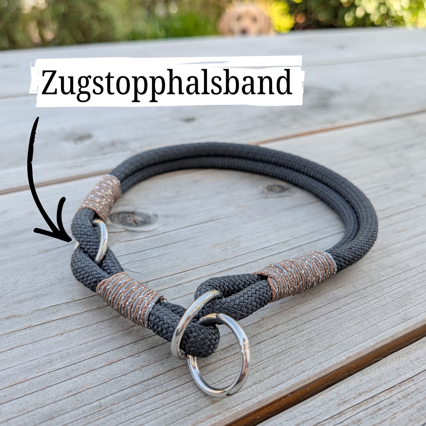 SET aus Leine und Halsband schwarz - braun/silber