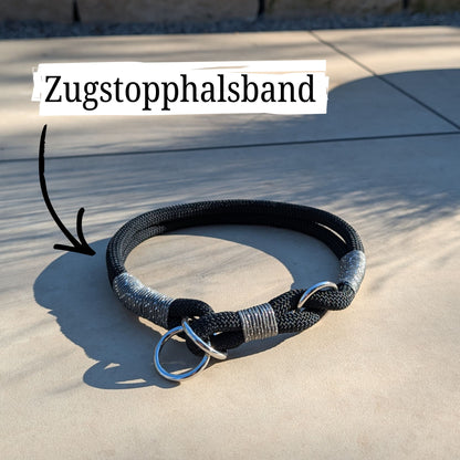SET aus Leine und Halsband schwarz - silber