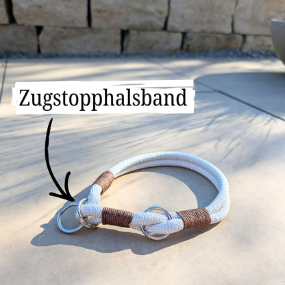 SET aus Leine und Halsband weiß - braun