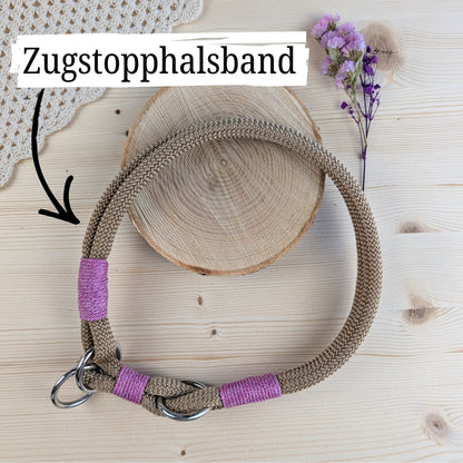 SET aus Leine und Halsband goldbraun - rosa